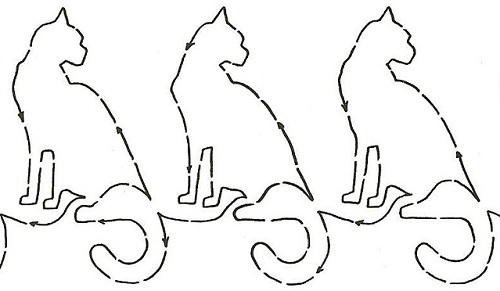 Cat #1 - 7"